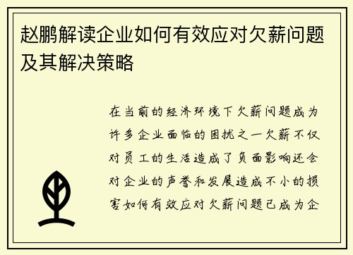 赵鹏解读企业如何有效应对欠薪问题及其解决策略